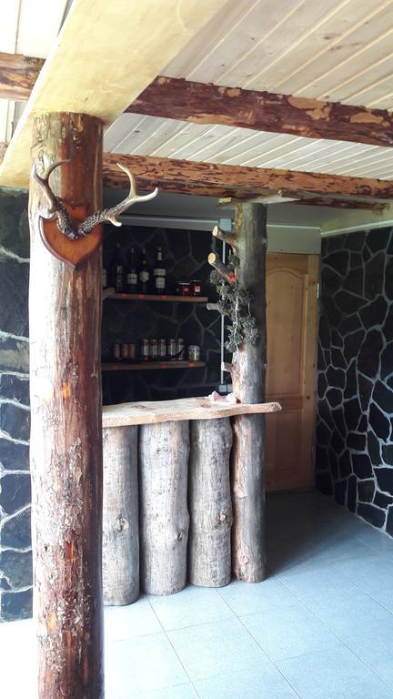 Guesthouse Javakhe Omalo Extérieur photo